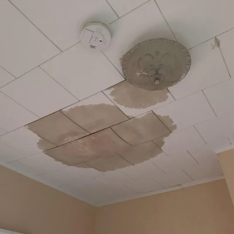Ceiling Water Damage Repair in Greencastle, IN