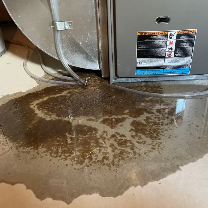 Pipe Burst and Leak Restoration in Greencastle, IN
